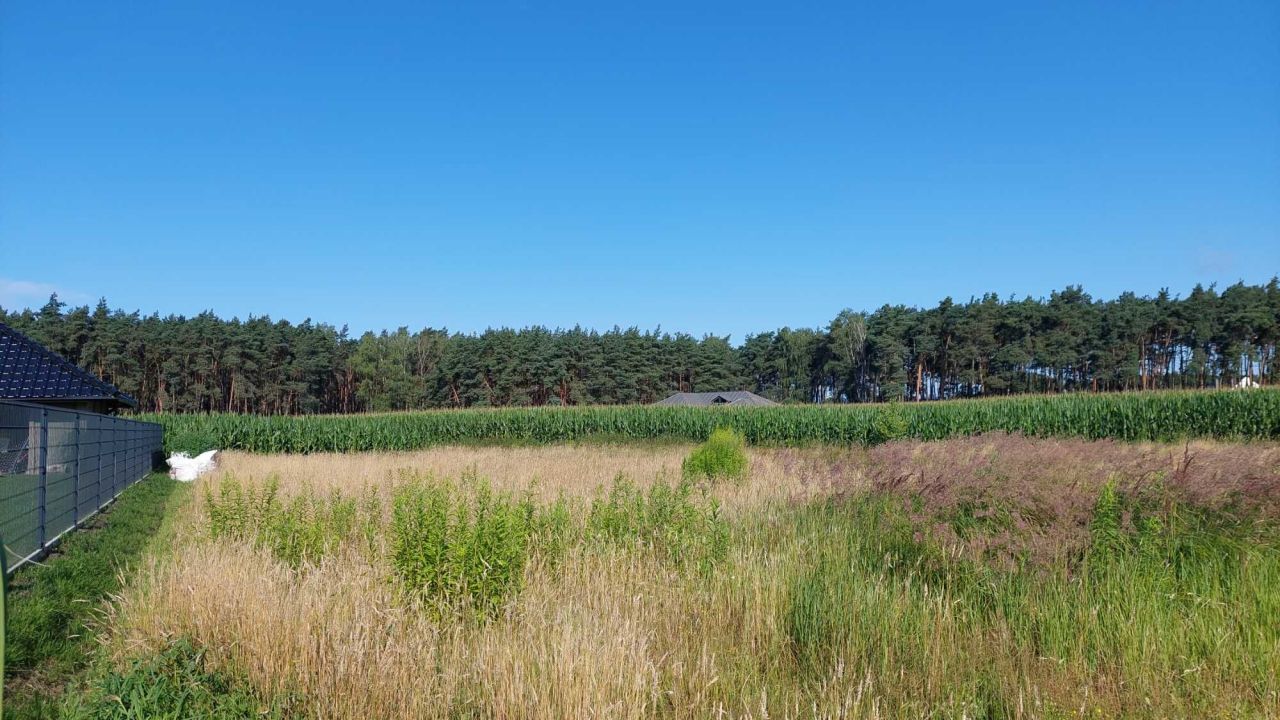 Działka budowlana Nowe Tłoki. Zdjęcie 1