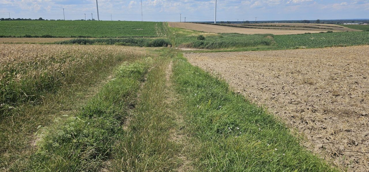 Działka rolna Tyszowce. Zdjęcie 8