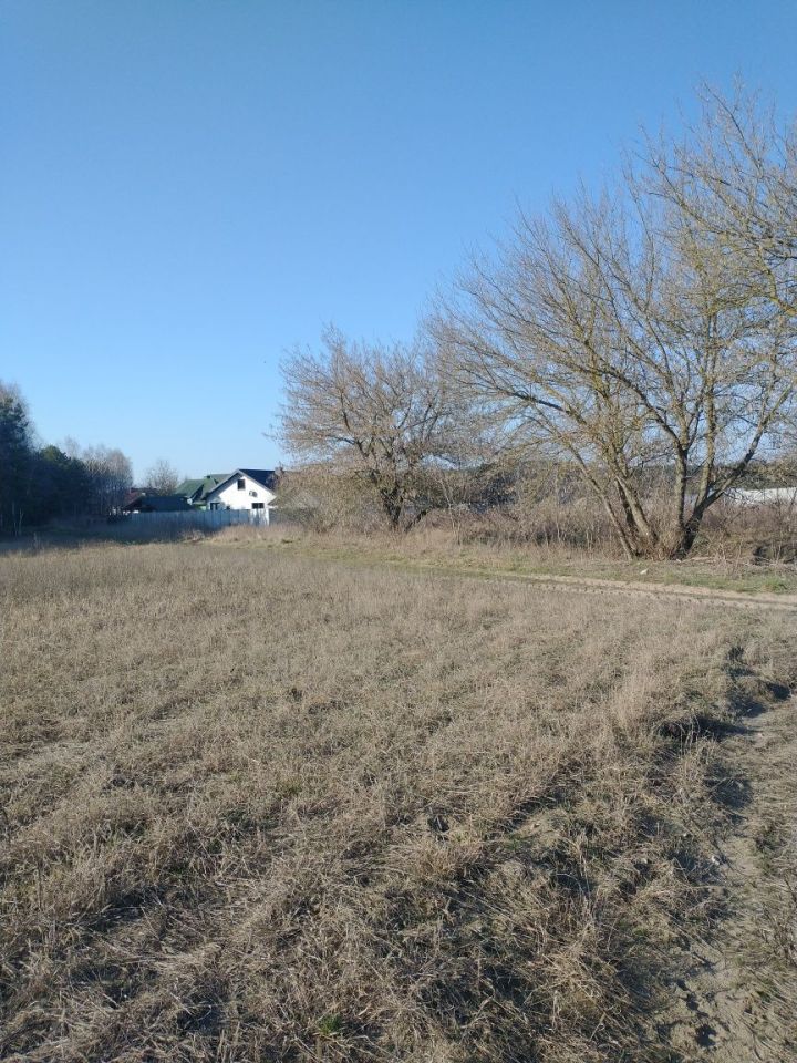 Działka siedliskowa Dziadowice-Folwark. Zdjęcie 7