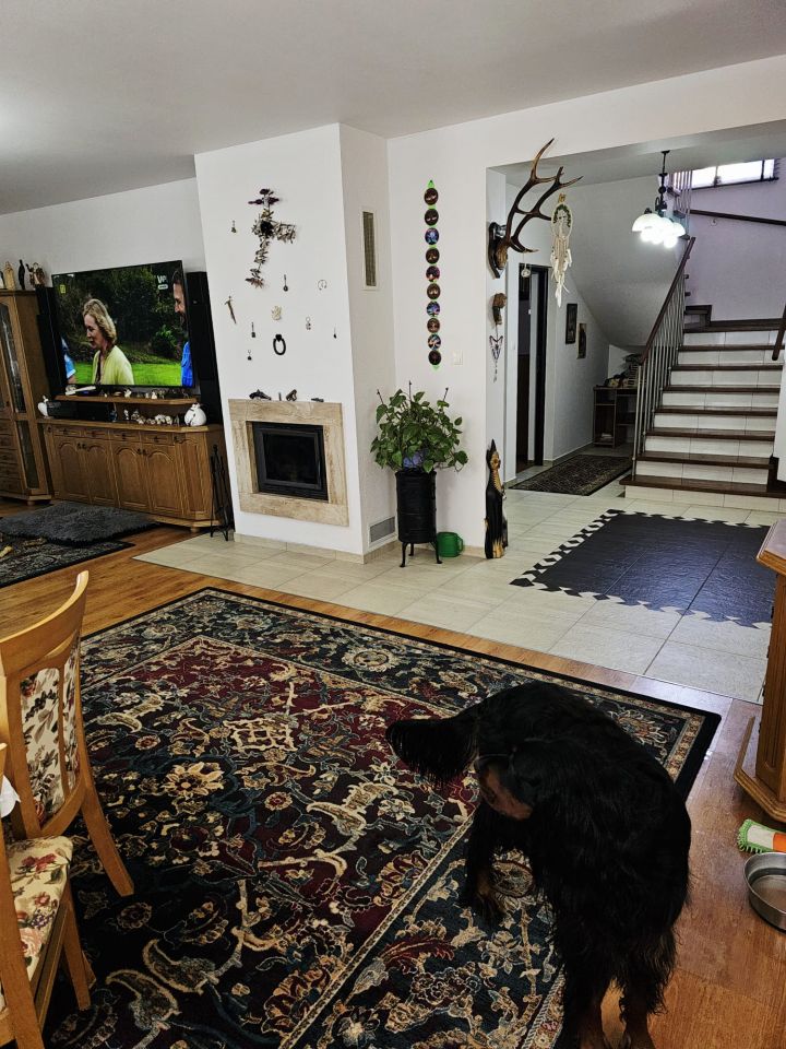 dom wolnostojący, 5 pokoi Borowa Góra, ul. Kameralna. Zdjęcie 35