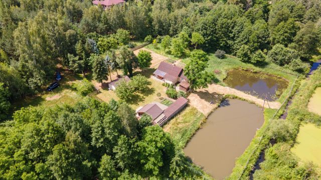 Działka siedliskowa Tarło. Zdjęcie 28