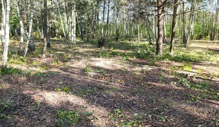 Działka rolno-budowlana Łódź Widzew, ul. Gminna