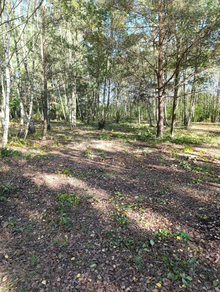 Działka rolno-budowlana Łódź Widzew, ul. Gminna