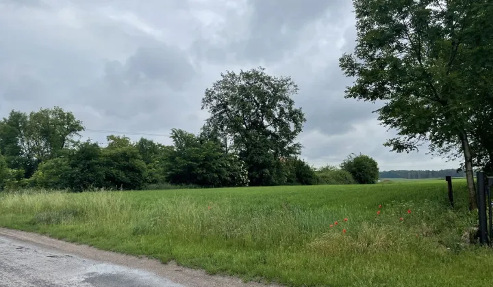 Działka rolno-budowlana Wróble