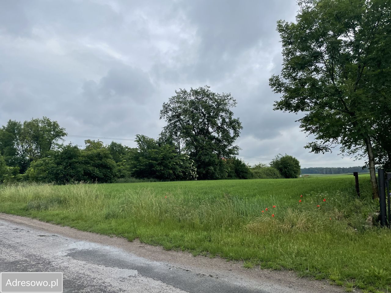 Działka rolno-budowlana Wróble. Zdjęcie 1