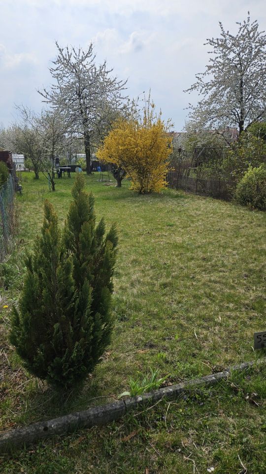 Działka rod Brzeg. Zdjęcie 4