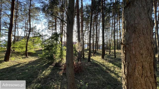Działka rolno-budowlana Cekcyn Cekcynek. Zdjęcie 4