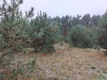 Działka rolna Nadbiel. Zdjęcie 3