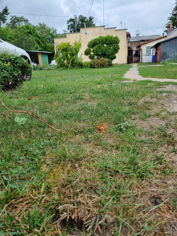 dom wolnostojący, 4 pokoje Kobyłka Antolek, ul. Andrzeja Frycza-Modrzewskiego. Zdjęcie 2