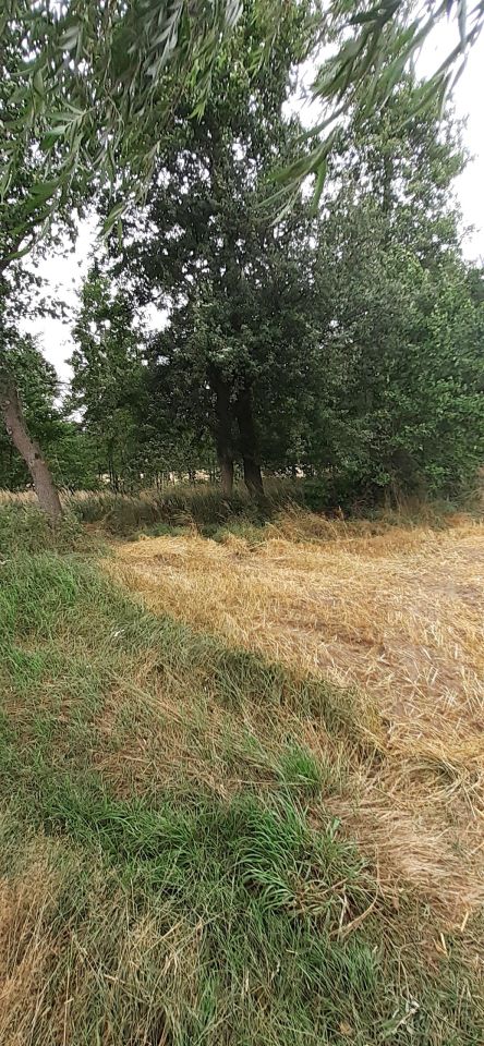 Działka rolno-budowlana Lututów Młynek, ul. Wrocławska. Zdjęcie 5