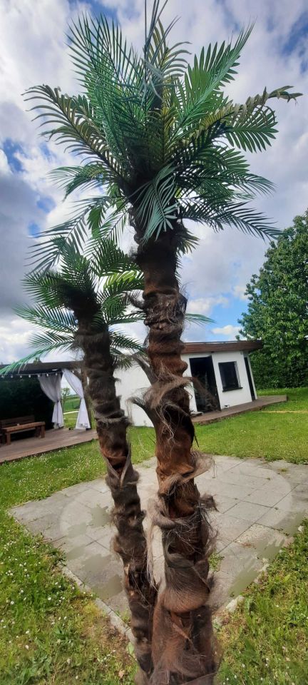 Działka rekreacyjna Racibórz, ul. Rybnicka