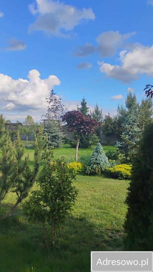 dom wolnostojący, 3 pokoje Dąbrowa. Zdjęcie 3