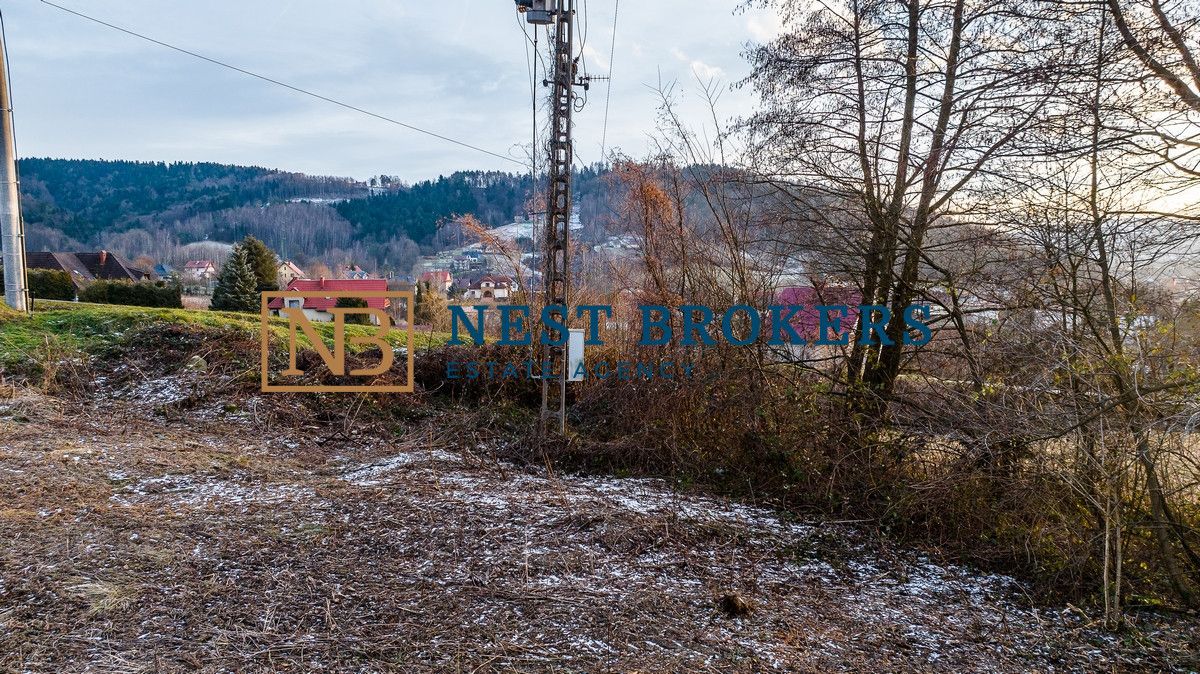 Działka budowlana Roztoka-Brzeziny. Zdjęcie 7
