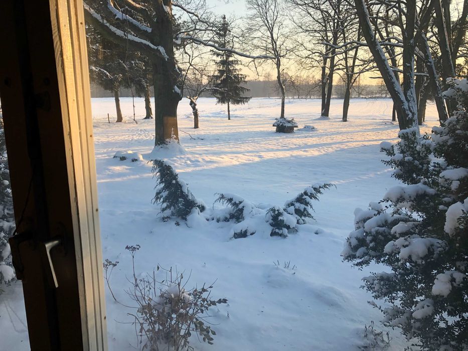 Działka budowlana Stajenczynki Dominikowo. Zdjęcie 5