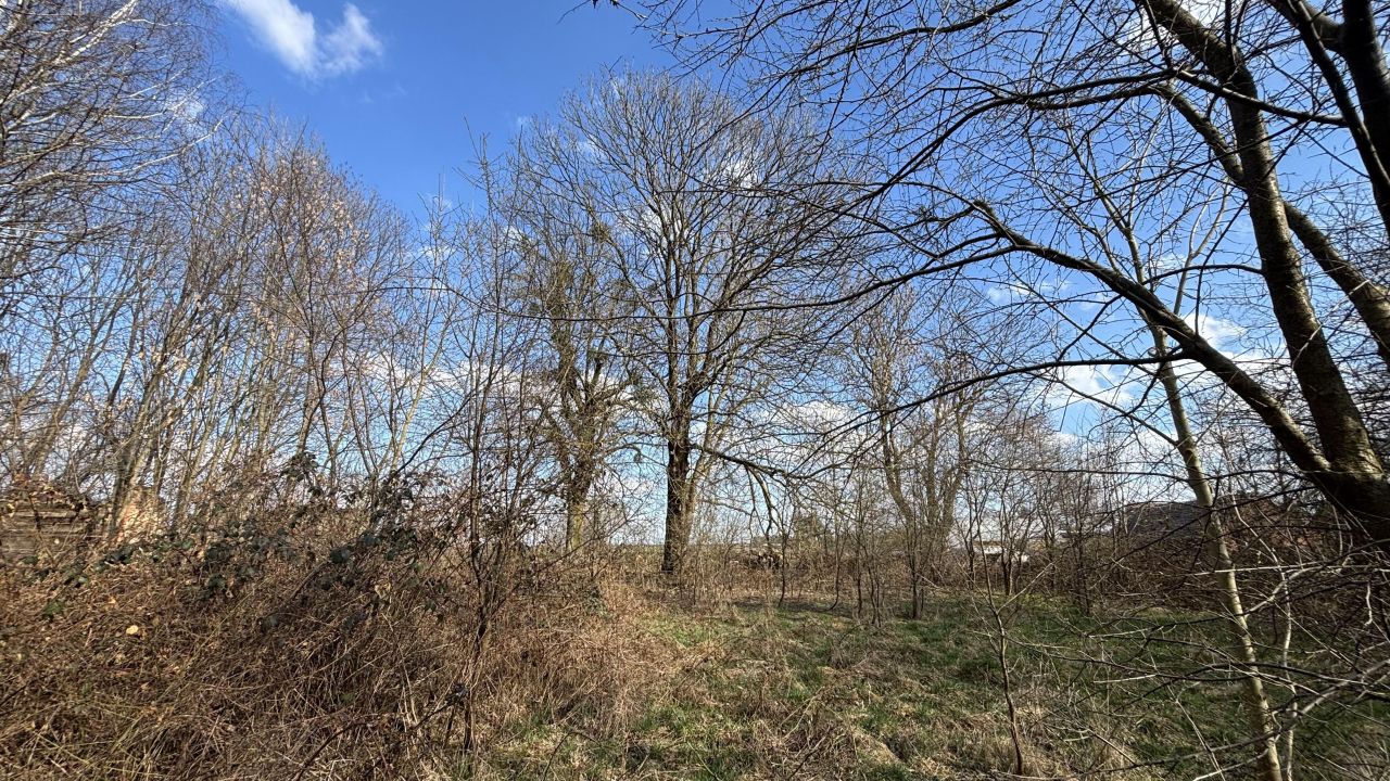 Działka rolno-budowlana Biadacz, ul. Kozłowicka. Zdjęcie 2