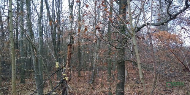 Działka inna Katowice Ligota, ul. Upadowa. Zdjęcie 3