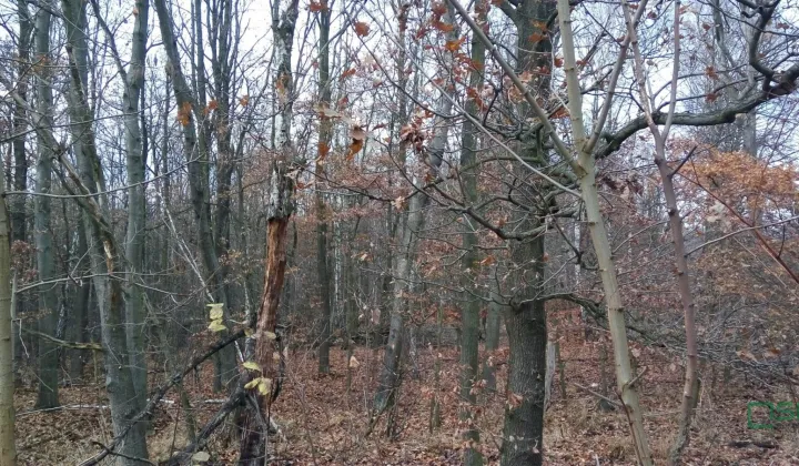 Działka inna Katowice Załęże, ul. Upadowa