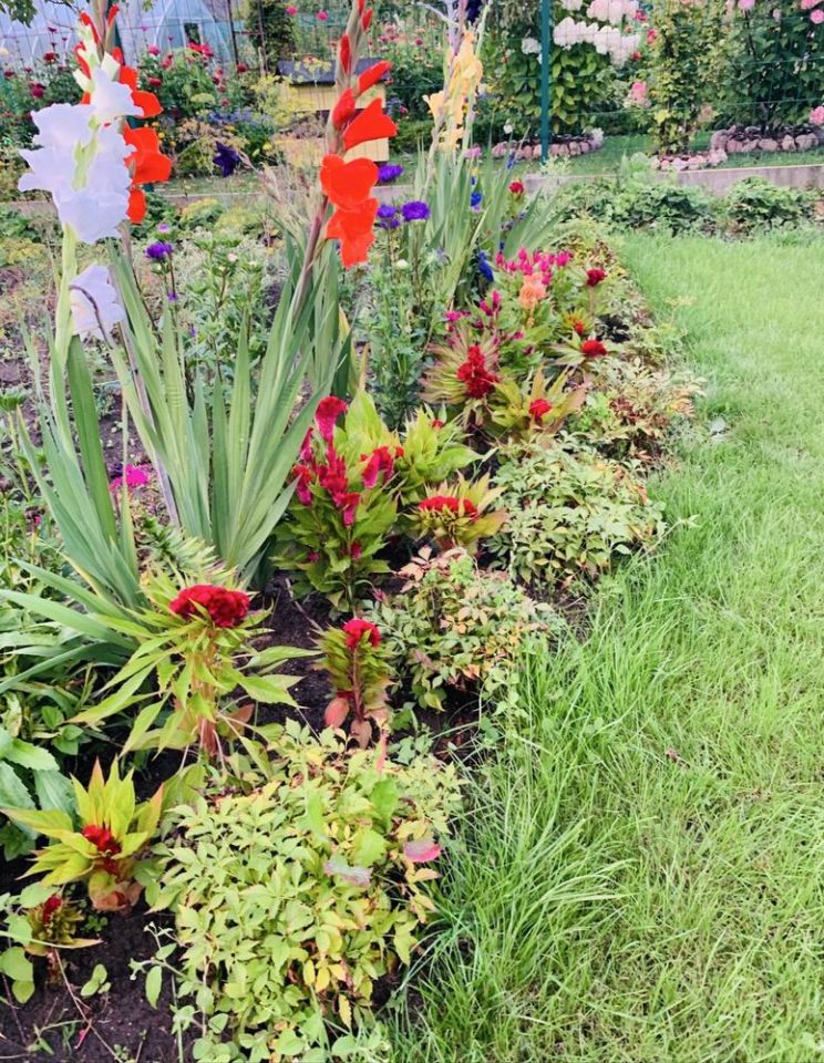 Działka rod Kozienice. Zdjęcie 7