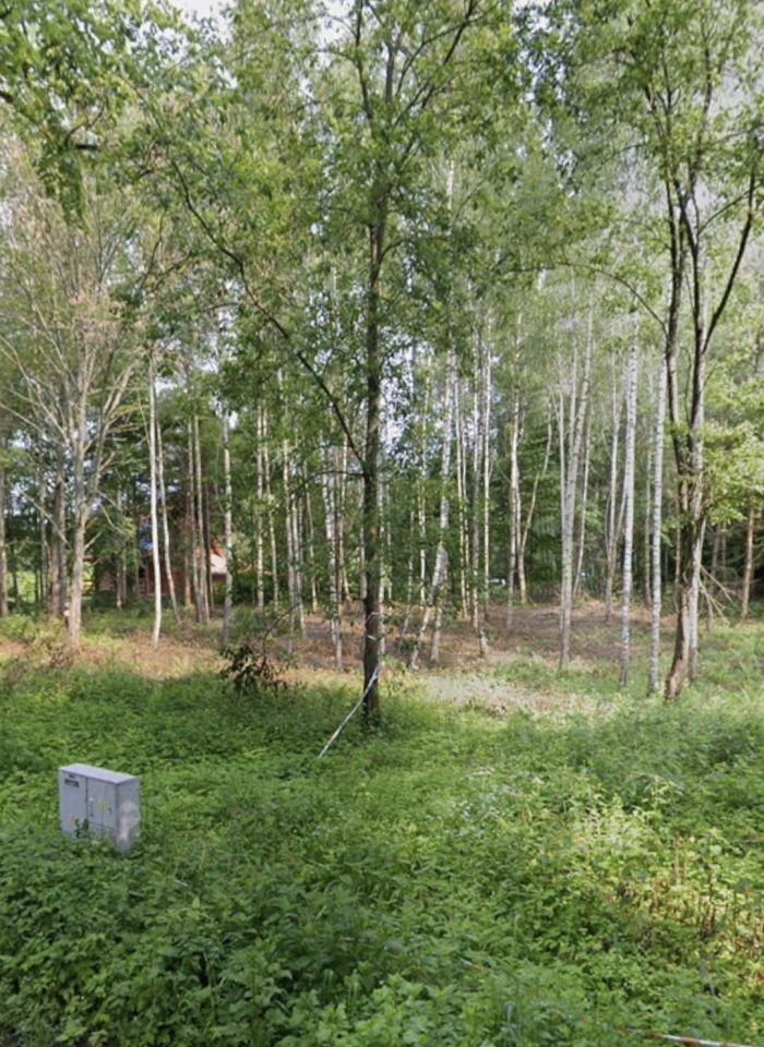 Działka budowlana Świerkocin. Zdjęcie 2