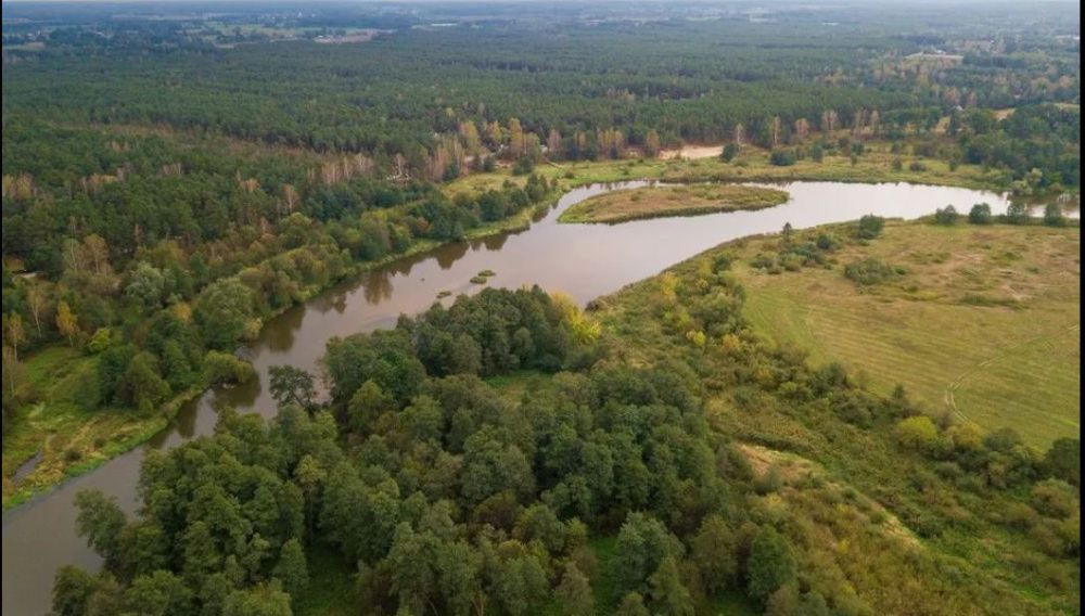 Działka rekreacyjna Biała Góra. Zdjęcie 8