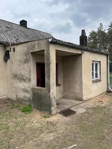 Działka siedliskowa Wierzbinek. Zdjęcie 6