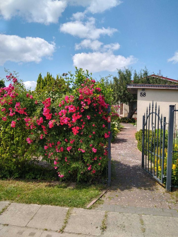 dom wolnostojący Dziwnówek. Zdjęcie 3