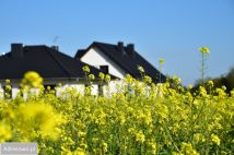 Działka budowlana Górki. Zdjęcie 2