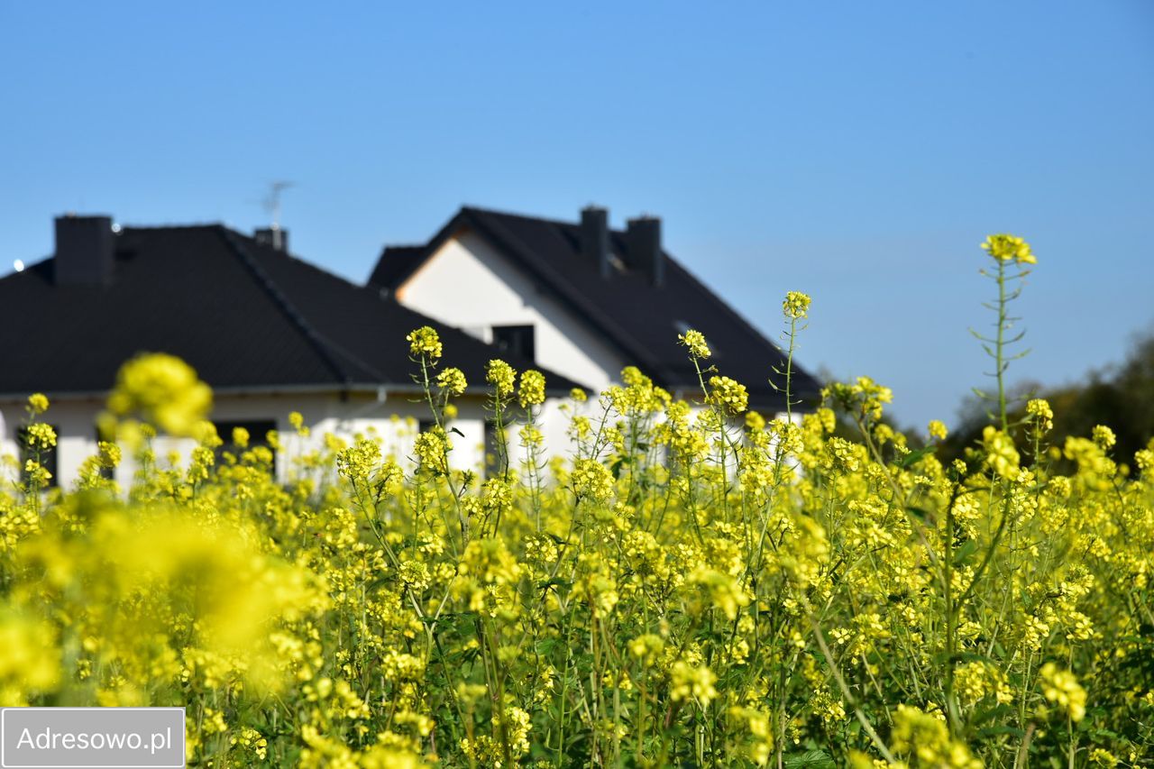 Działka budowlana Górki. Zdjęcie 3