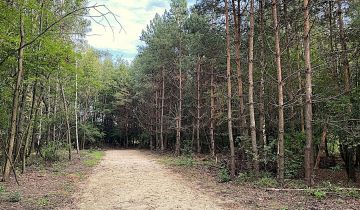 Działka budowlana Tuszyn Tuszynek Poduchowny, ul. Poddębina