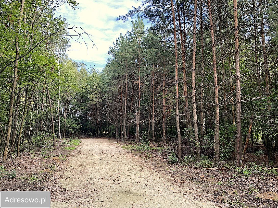 Działka budowlana Tuszyn Tuszynek Poduchowny, ul. Poddębina. Zdjęcie 2