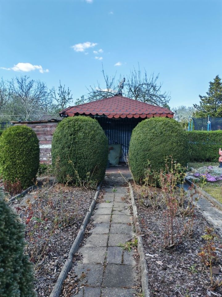 Działka rod Dąbrowa Górnicza. Zdjęcie 6