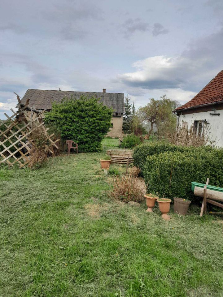 gospodarstwo Rusajny. Zdjęcie 3