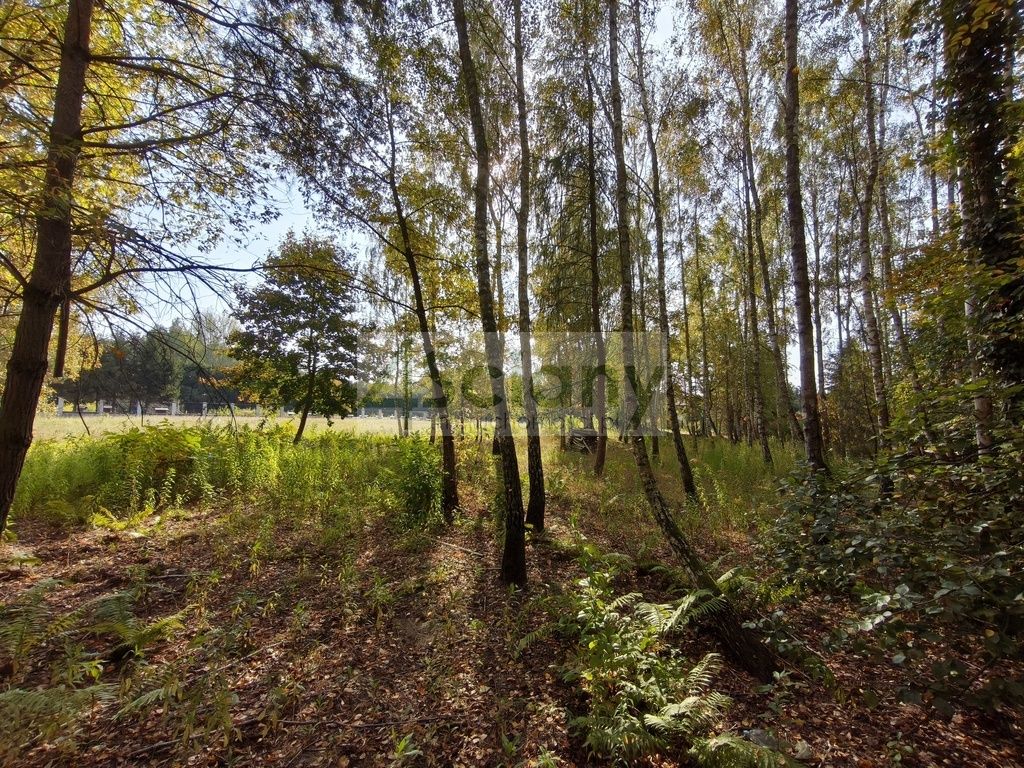 Działka budowlana Kierszek. Zdjęcie 5