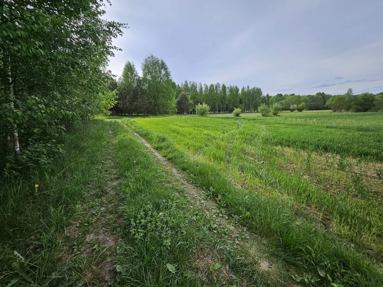 Działka rolno-budowlana Saki. Zdjęcie 4