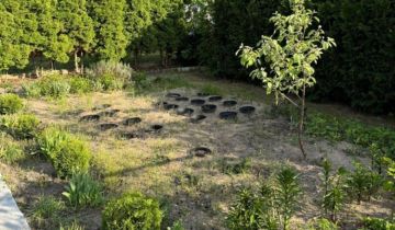 Działka rod Ostrzeszów