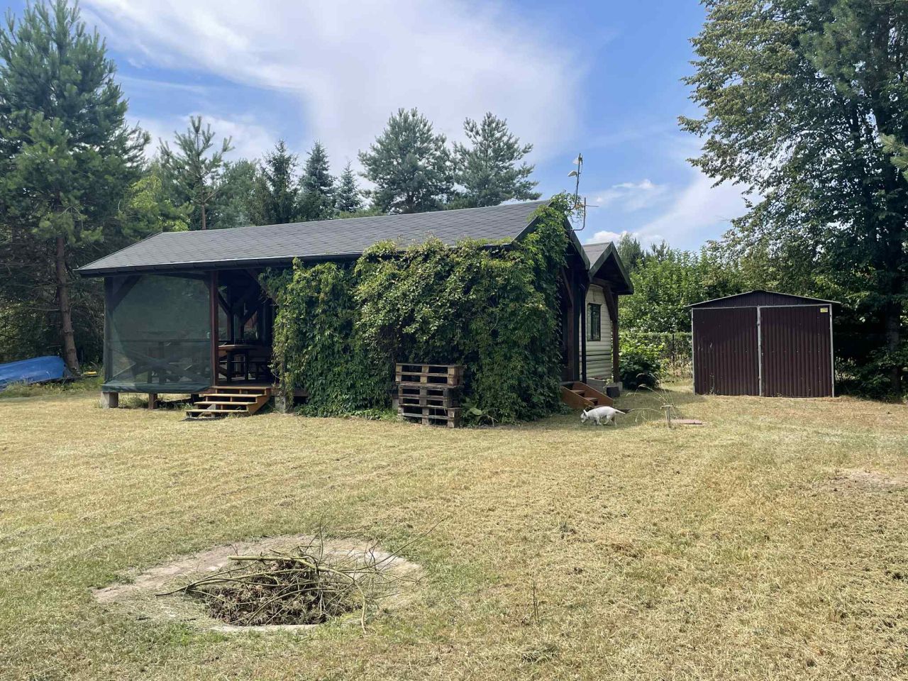 Działka rekreacyjna Wytyczno Kochanowskie. Zdjęcie 11