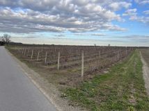 gospodarstwo, 2 pokoje Wierzchowiska Drugie. Zdjęcie 2