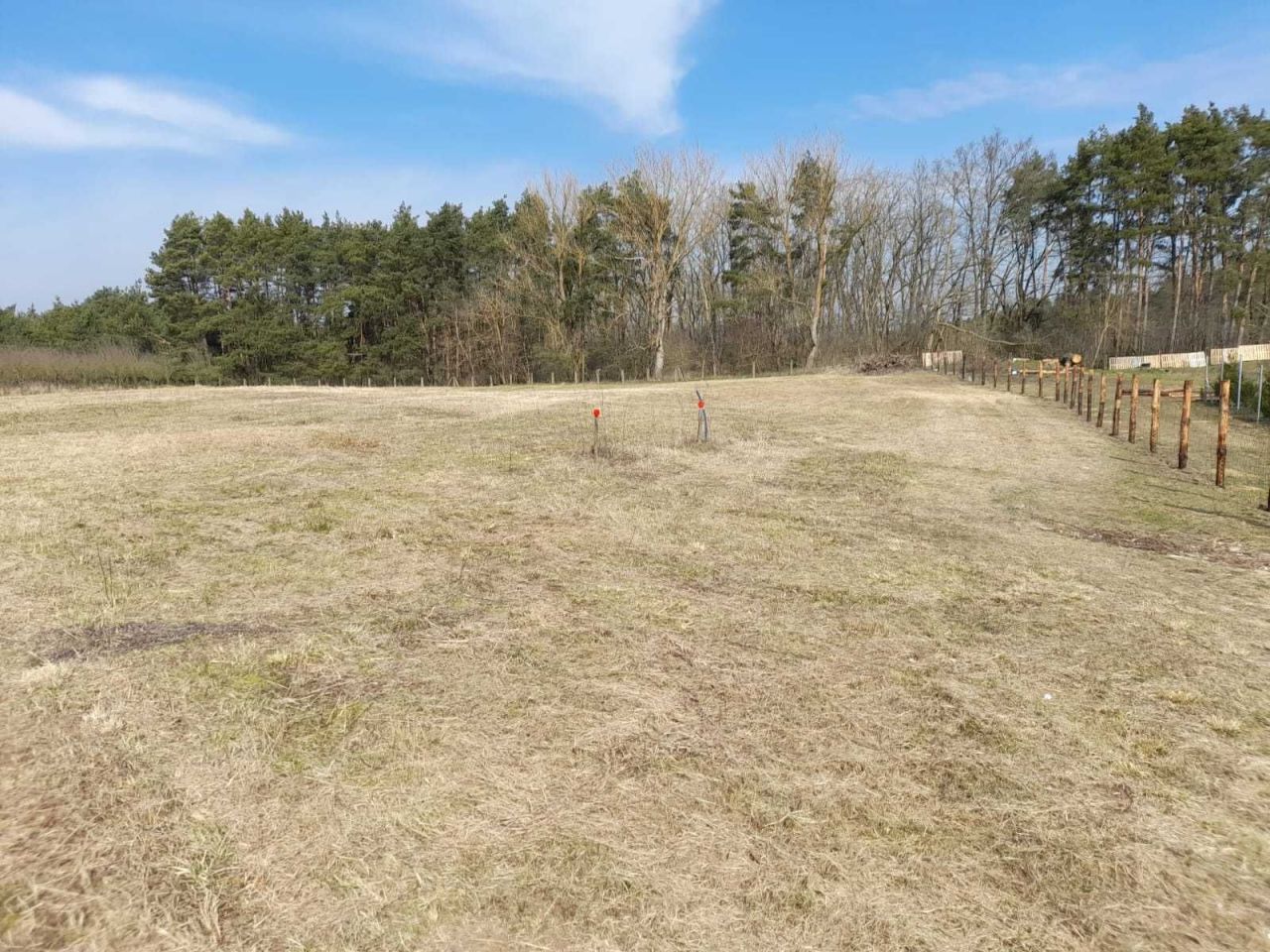 Działka rolna Skwierzyna, ul. Międzyrzecka. Zdjęcie 2