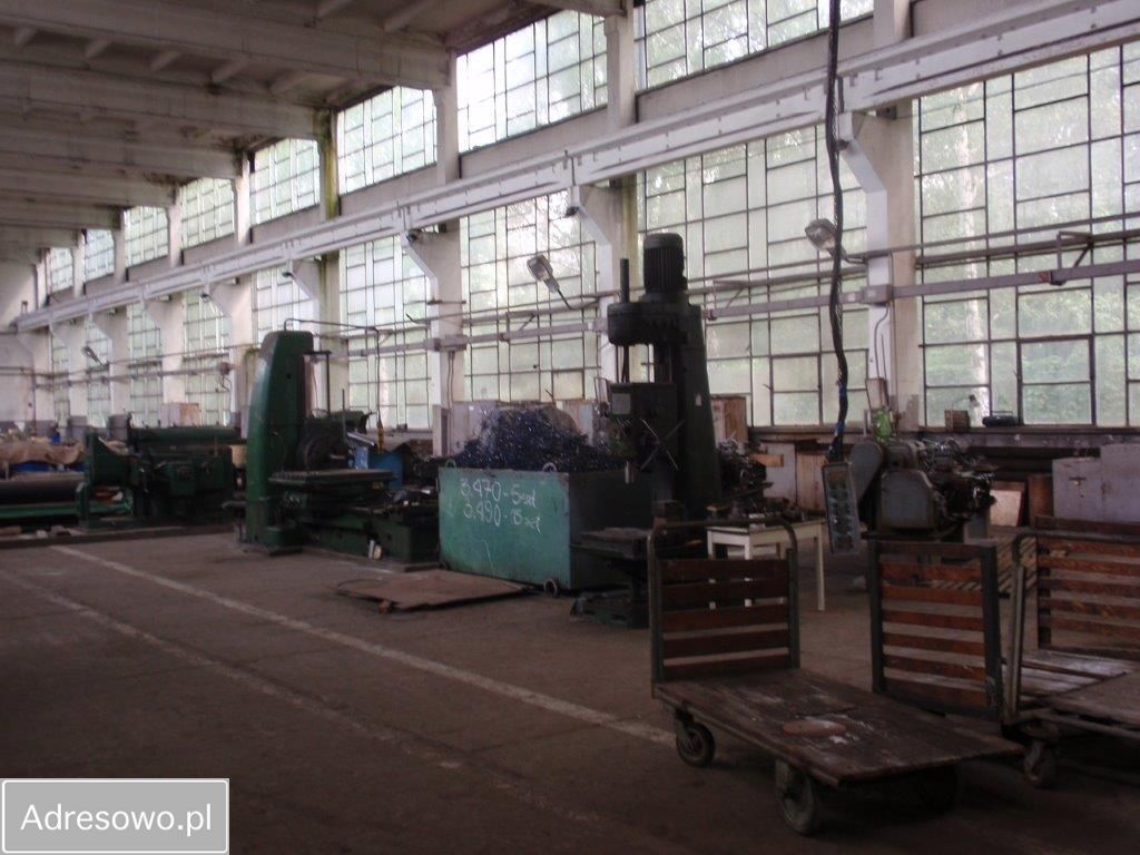 Hala/magazyn Ząbkowice Śląskie. Zdjęcie 14