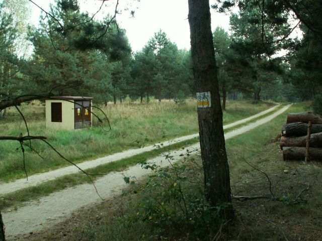 Działka rolno-budowlana Łowyń, Leśna. Zdjęcie 1