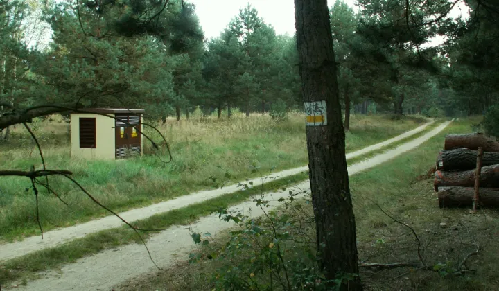 Działka rolno-budowlana Łowyń, Leśna