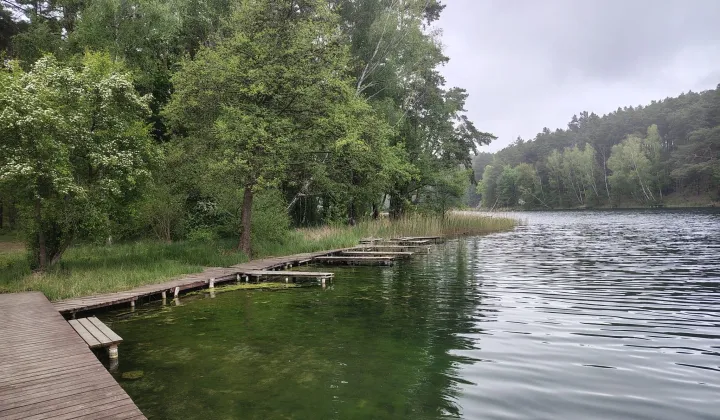 Działka inna Świniary