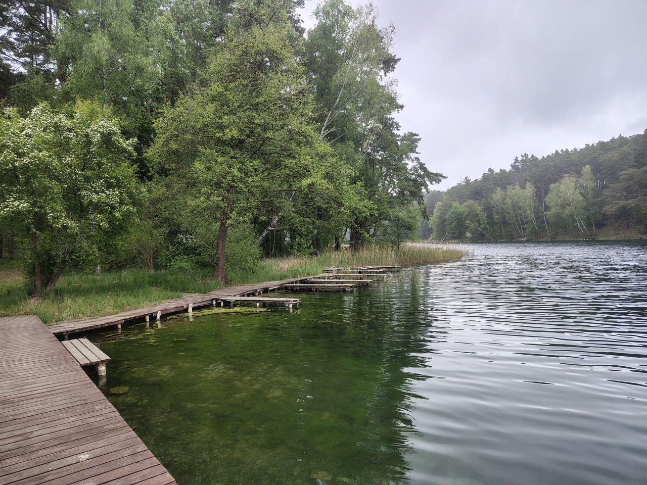 Działka inna Świniary. Zdjęcie 3