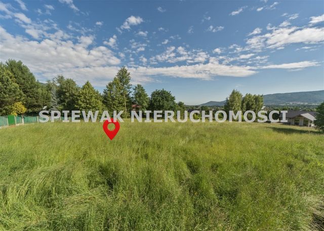 Działka budowlana Buczkowice, ul. Modrzewiowa. Zdjęcie 7