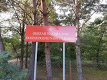 Działka rekreacyjna Zambski Kościelne. Zdjęcie 2