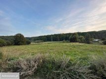 Działka rolna Wapnica. Zdjęcie 2