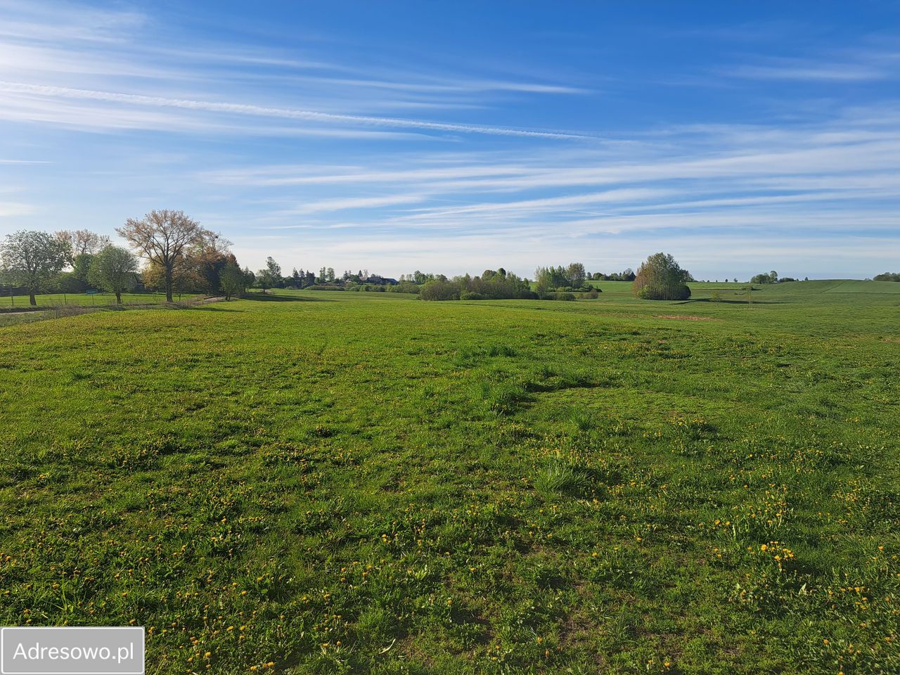 Działka rolna Kolonia Przerośl. Zdjęcie 11