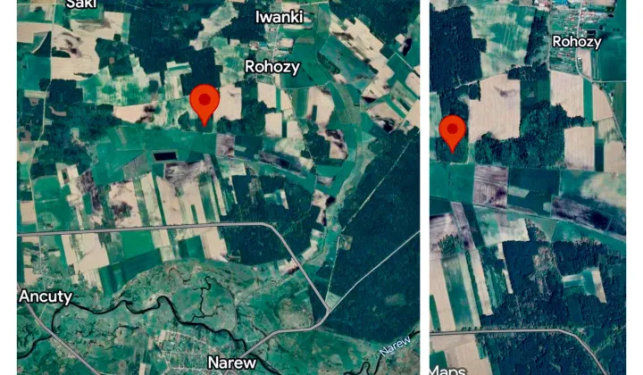 Działka leśna Iwanki Rohozy