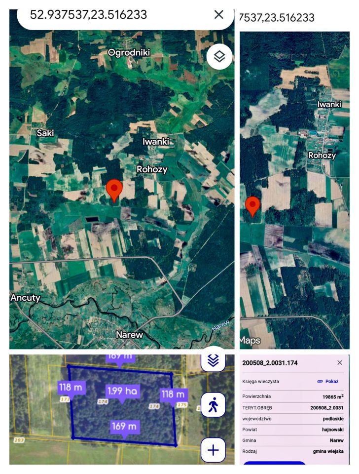 Działka leśna Iwanki Rohozy