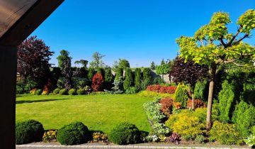 Mieszkanie 3-pokojowe Wilków Drugi